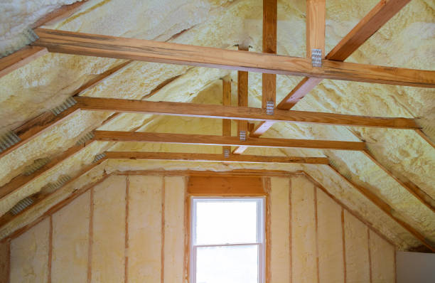Best Soundproof Insulation Installation  in Genoa, OH